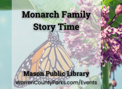monarch butterfly on milkweed flower